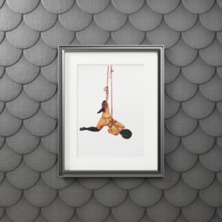 The Shark and the Rope - Fine Shibari Art Prints - Bondage, BDSM, Fetish