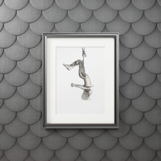 Morning Stretch - Fine Shibari Art Prints - Bondage, BDSM, Fetish