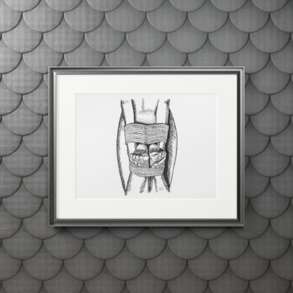 Touch Your Toes - Fine Shibari Art Prints - Bondage, BDSM, Fetish - Image 9